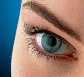 Close-up of a woman's blue eye (front view)