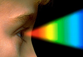 Colour vision: spectrum of light entering the eye