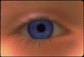 Zoom effect image of a young girl's blue eye