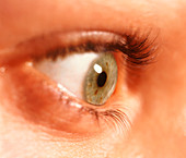 Side view of a woman's healthy green eye