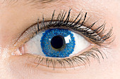 Coloured contact lens
