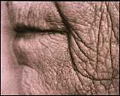 Close-up of mouth of an elderly woman (side view)