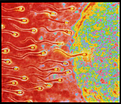 Computer art of sperm and egg during fert