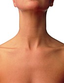 Front view of the neck and upper chest of a woman