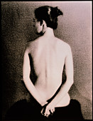 Posterior view of the torso of a seated woman