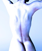 Woman's naked back,computer artwork