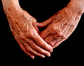 Elderly woman's hands clasped together
