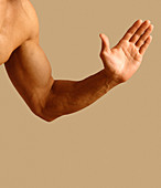 Man's arm