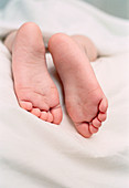 Toddler's feet