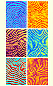 Computer artwork of coloured fingerprints