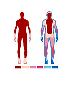 Core body temperature maintenance