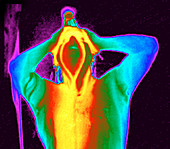 Thermogram of a man taking a shower
