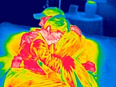 Couple hugging,thermogram