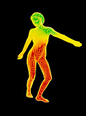 Computer contour map of a female body (front view)