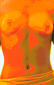 Computer abstract of woman's torso,front view