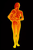 Body contour map of woman holding child