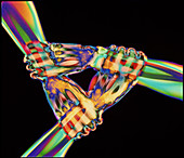 Coloured X-ray of a triangle of three linked hands