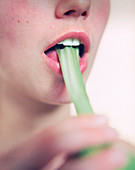 Eating celery
