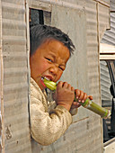 Boy eating a sugar cane
