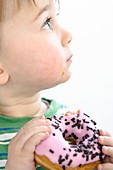 Toddler eating a doughnut