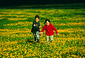 Children in a meadow