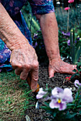 Gardening