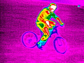 Cycling,thermogram