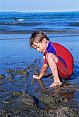Boy playing on a beach
