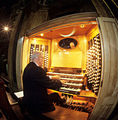 Organ player