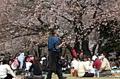 Picnicking in Ueno Park,Tokyo