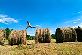 Boy playing in a hay field