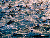 Triathlon swimmers