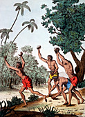 Human sacrifice,Tahiti
