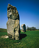 Standing stones,part of circle at Avebury