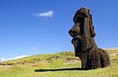 Easter Island statue