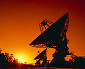 Hanbury Brown radio telescope at sunset,Australia