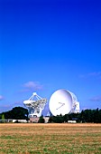 Radio telescope dishes at Jodrell Bank