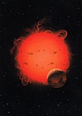 Future red giant Sun