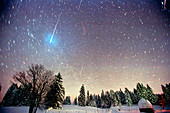 Optical image of Leonid meteors and star trails