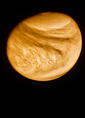 Venus,from Pioneer-Venus Orbiter