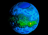 Global topographic map of the planet Venus