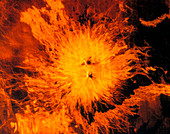 False-colour radar image of Sapas Mons,Venus