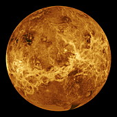 Venus,Magellan image
