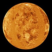 Venus,radar map