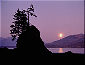 Moonrise over Owen Point,British Columbia,Canada