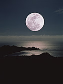 Moonset over coast