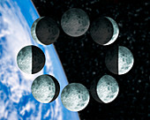 Phases of the Moon