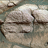 Martian rock surface