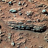 Tetl rock,Mars