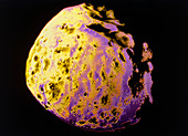 False-colour Viking Orbiter photomosaic of Phobos